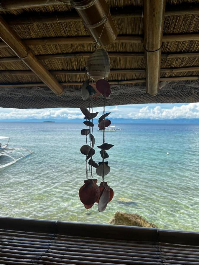 Sunset View Hostel - 써니사이드 모알보알 게스트 하우스 Moalboal Exteriör bild