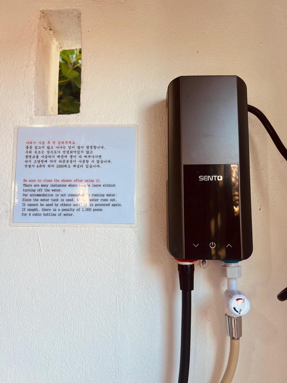Sunset View Hostel - 써니사이드 모알보알 게스트 하우스 Moalboal Exteriör bild