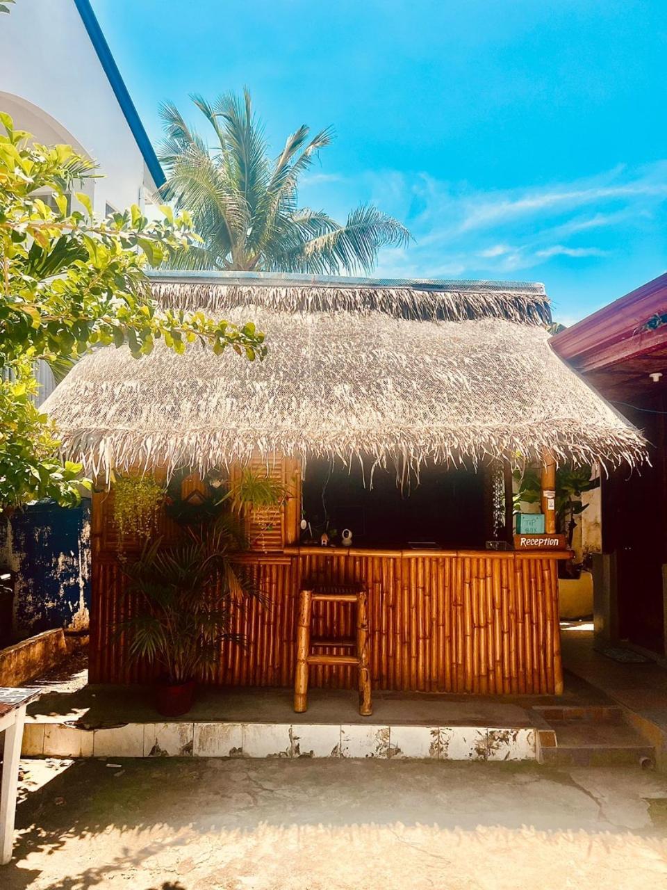 Sunset View Hostel - 써니사이드 모알보알 게스트 하우스 Moalboal Exteriör bild